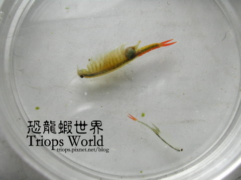 DSCN2273.JPG DSCN2273.JPG