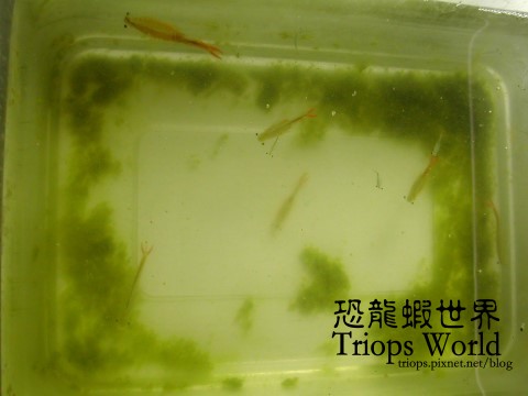 DSCN9251.JPG DSCN9251.JPG