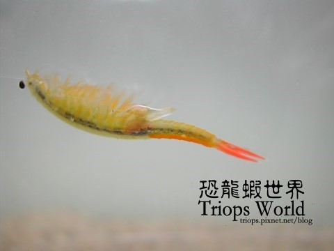 DSCN9277.JPG DSCN9277.JPG