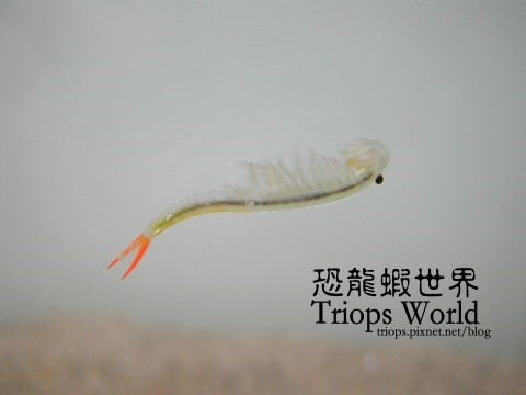 DSCN9312.JPG DSCN9312.JPG