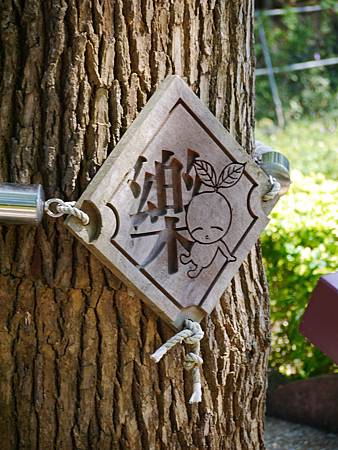 山河大地_303 山河大地_303