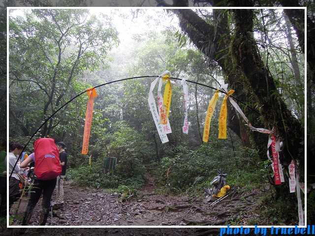 路條迎賓門 路條迎賓門