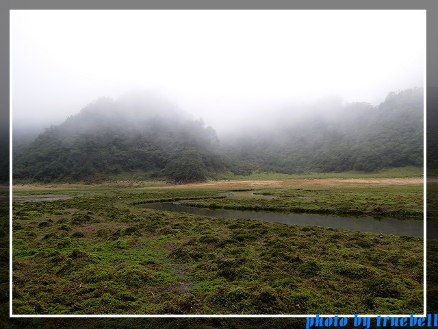 S形水道 S形水道