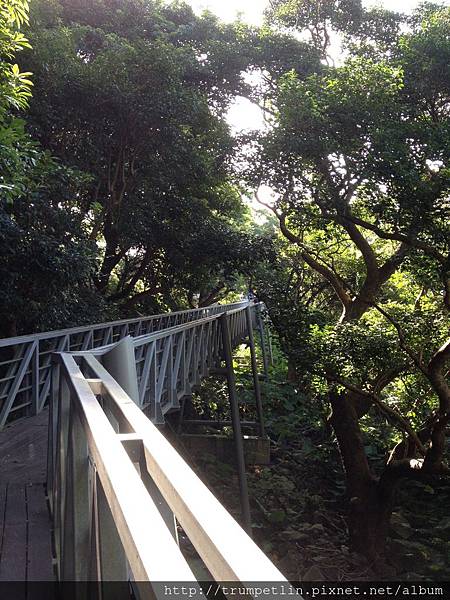 相片 13-7-6 8 15 40.jpg 相片 13-7-6 8 15 40.jpg