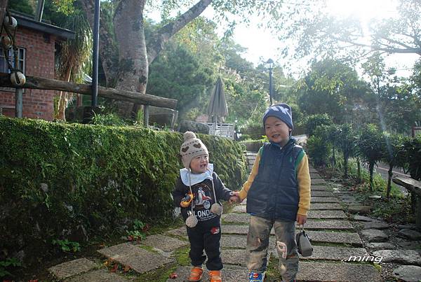 太麻里金針山青山農場