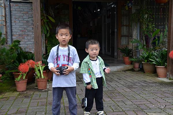 太麻里金針山青山農場