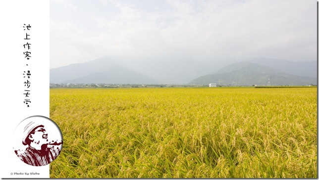 台東池上關山慢食行自助旅遊-池上作客.漫步天堂 台東池上關山慢食行自助旅遊-池上作客.漫步天堂