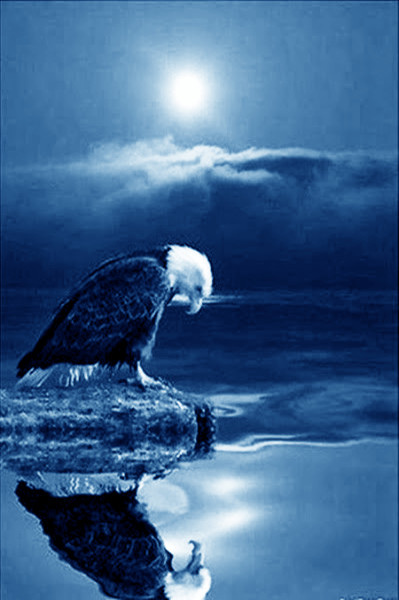 愛情讓它隨風吹