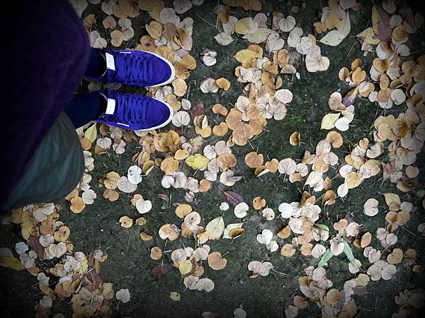 P1120054.JPG P1120054.JPG