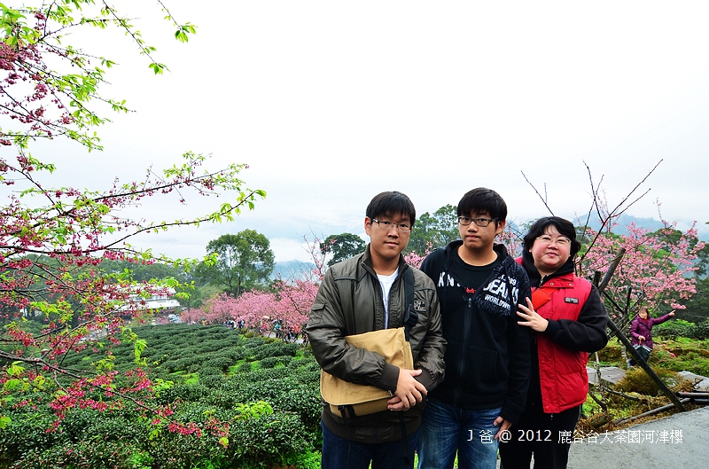 nEO_IMG_DSC_0069 nEO_IMG_DSC_0069