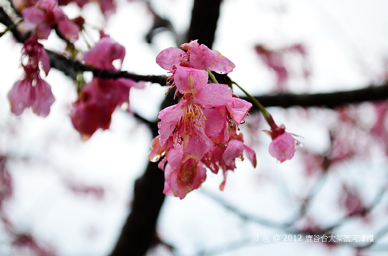 nEO_IMG_DSC_0023 nEO_IMG_DSC_0023