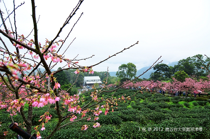 nEO_IMG_DSC_0073 nEO_IMG_DSC_0073