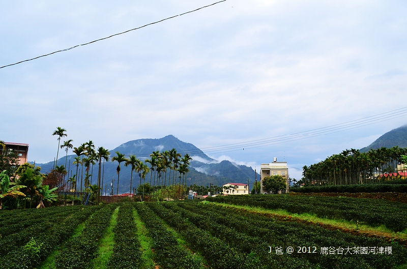 nEO_IMG_DSC_0011 nEO_IMG_DSC_0011