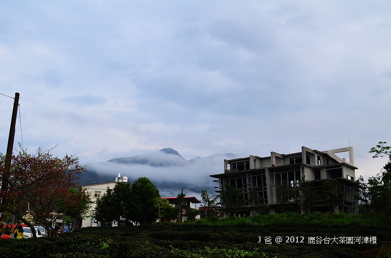 nEO_IMG_DSC_0008 nEO_IMG_DSC_0008