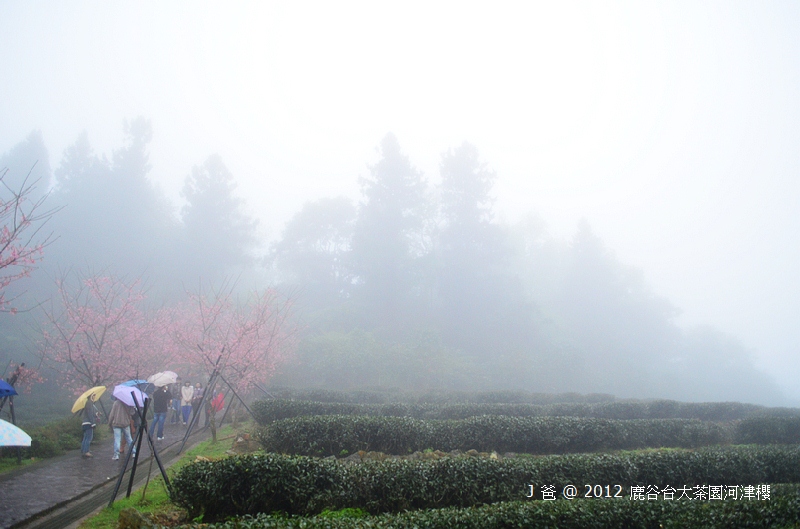 nEO_IMG_DSC_0129 nEO_IMG_DSC_0129