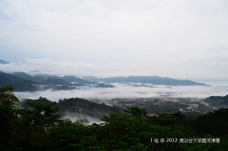 nEO_IMG_DSC_0004 nEO_IMG_DSC_0004