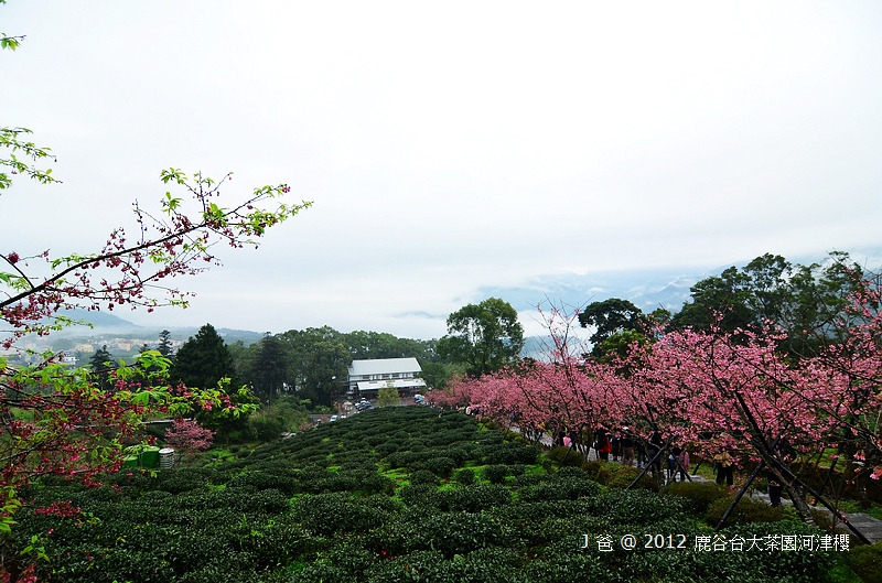 nEO_IMG_DSC_0065 nEO_IMG_DSC_0065