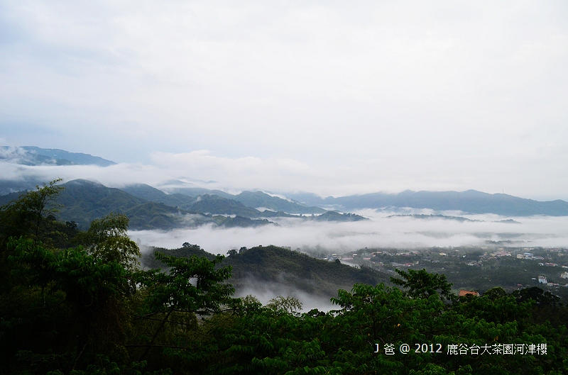 nEO_IMG_DSC_0003 nEO_IMG_DSC_0003