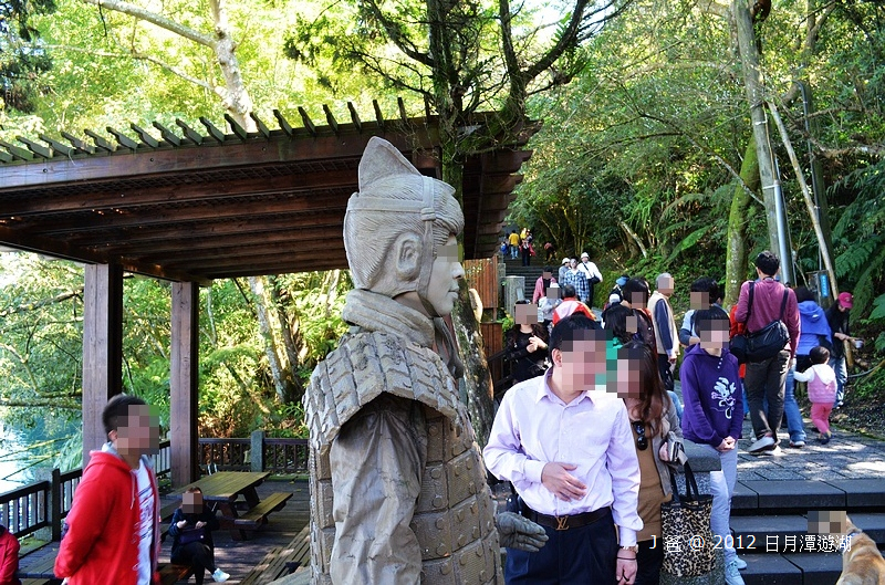 DSC_1229 DSC_1229