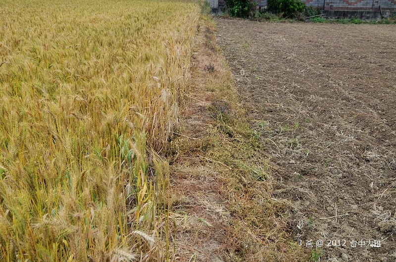 DSC_0057 DSC_0057