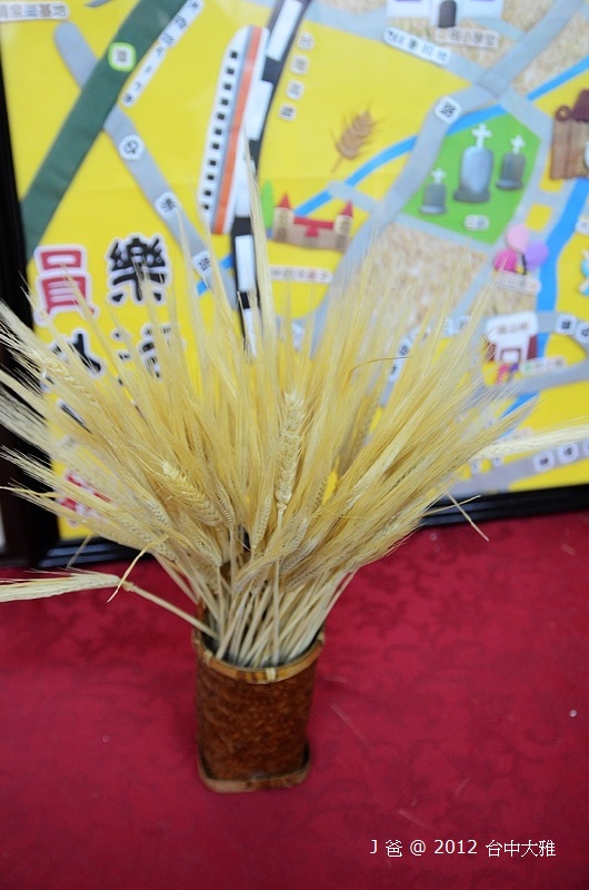 DSC_0095 DSC_0095