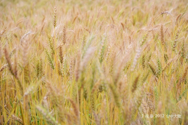 DSC_0083 DSC_0083