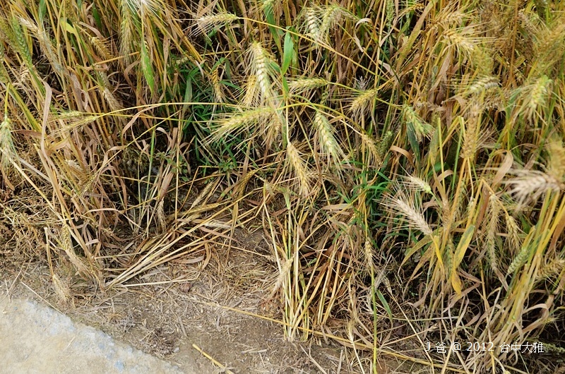 DSC_0056 DSC_0056