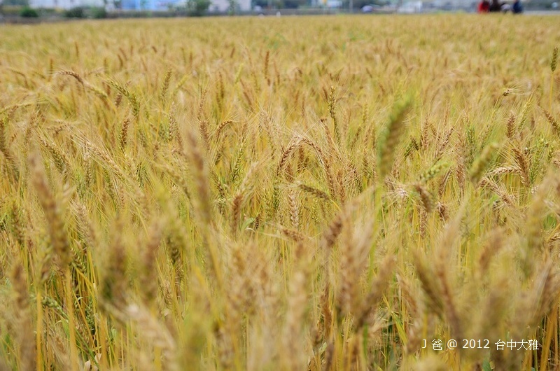 DSC_0065 DSC_0065