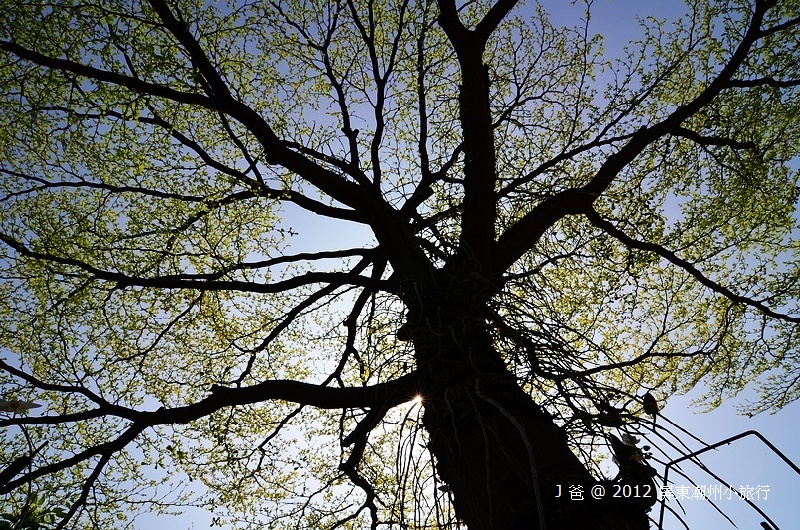 DSC_0530 DSC_0530