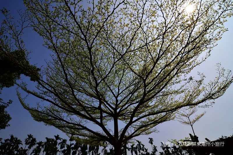 DSC_0541 DSC_0541