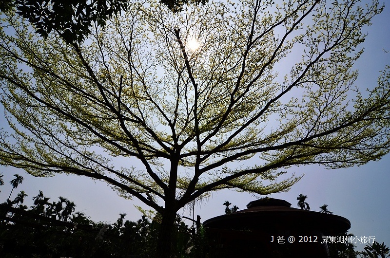 DSC_0544 DSC_0544