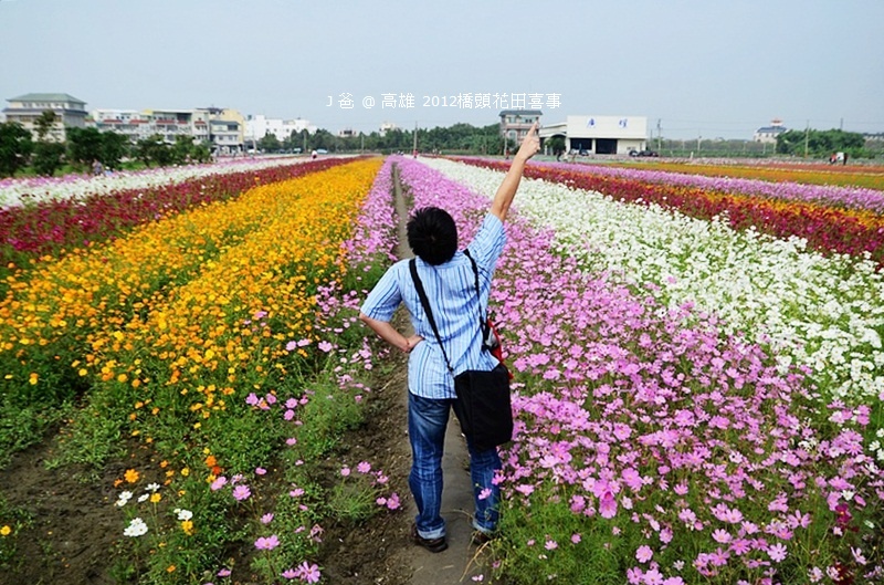 DSC_4967 DSC_4967