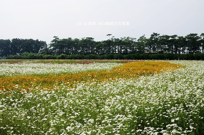 DSC_4894 DSC_4894