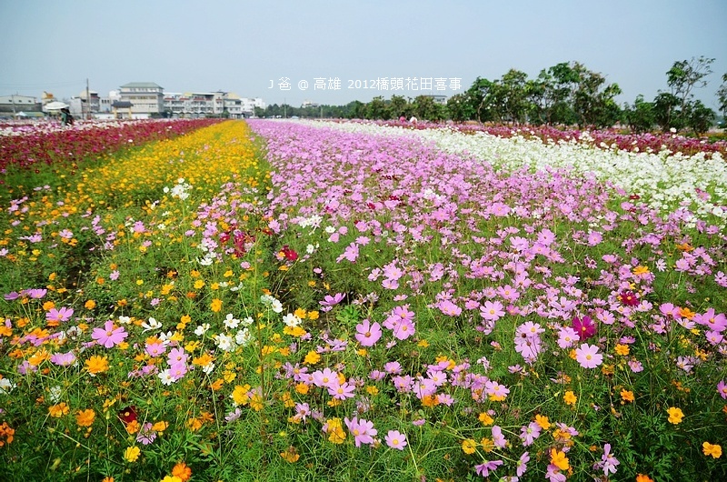 DSC_4985 DSC_4985