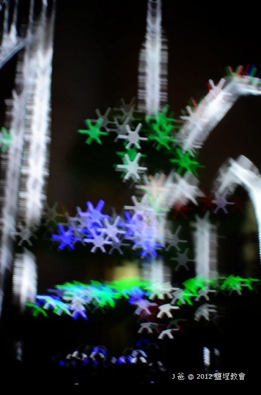 DSC_5559 DSC_5559