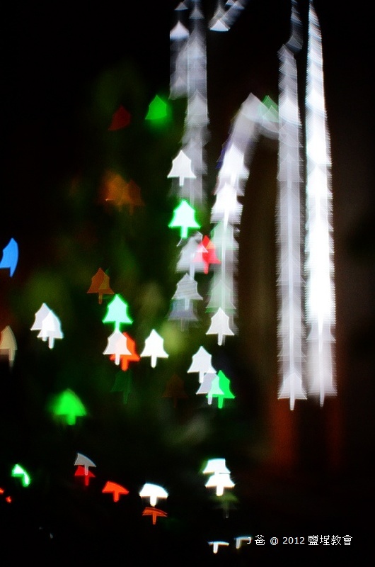 DSC_5574 DSC_5574