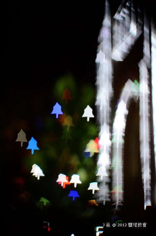DSC_5573 DSC_5573
