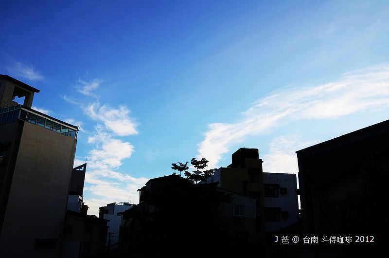 DSC_1519 DSC_1519