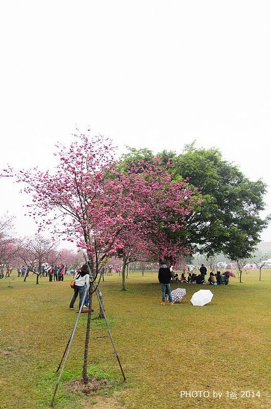 lr-1685 lr-1685