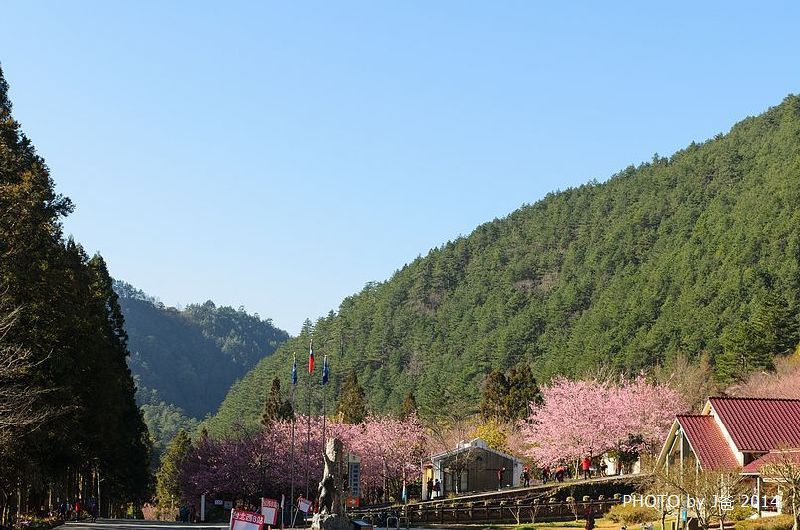 lr-3233 lr-3233