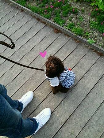 8447ed41jw1dspmidbtdjj