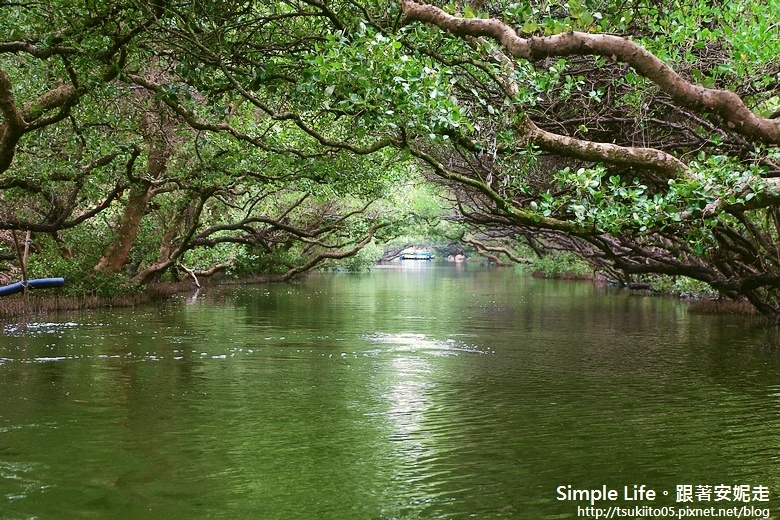 【台南景點】台江國家公園。四草綠色隧道@ Simple Life。跟著 ...