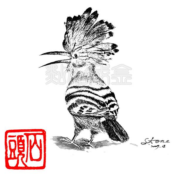 照片2 照片2