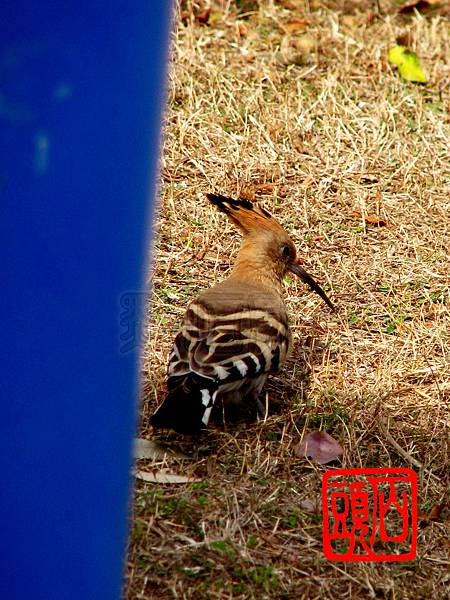 IMG_0010 (2) IMG_0010 (2)