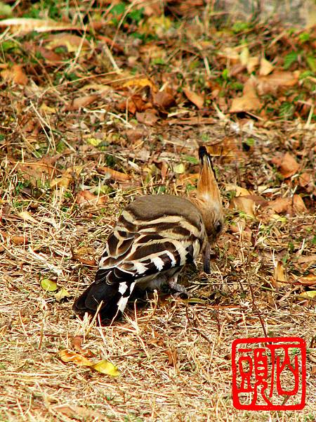 IMG_0015 IMG_0015