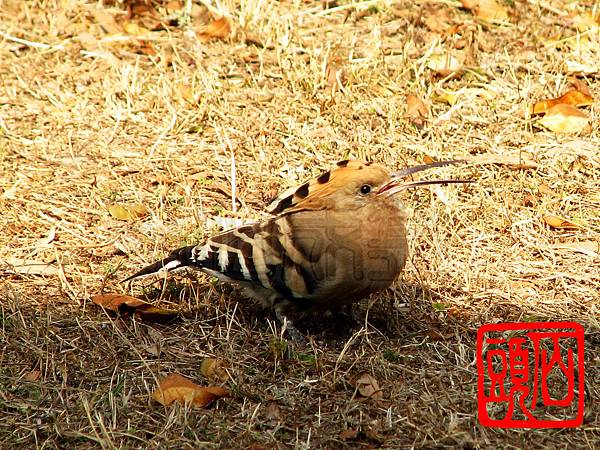 IMG_0034 IMG_0034