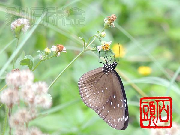 DSCN3573 DSCN3573