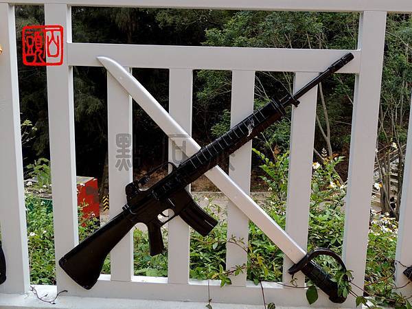 DSCN2735_調整大小 DSCN2735_調整大小