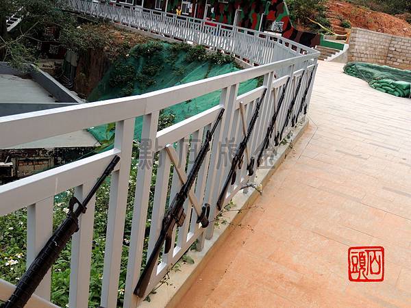 DSCN2737_調整大小 DSCN2737_調整大小