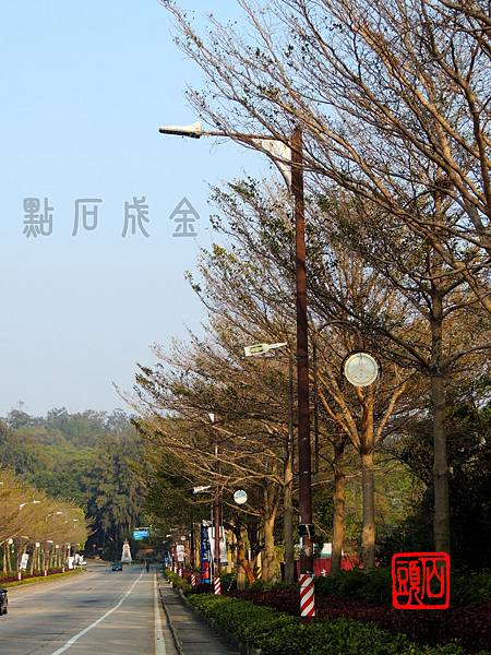 DSCN3325 DSCN3325